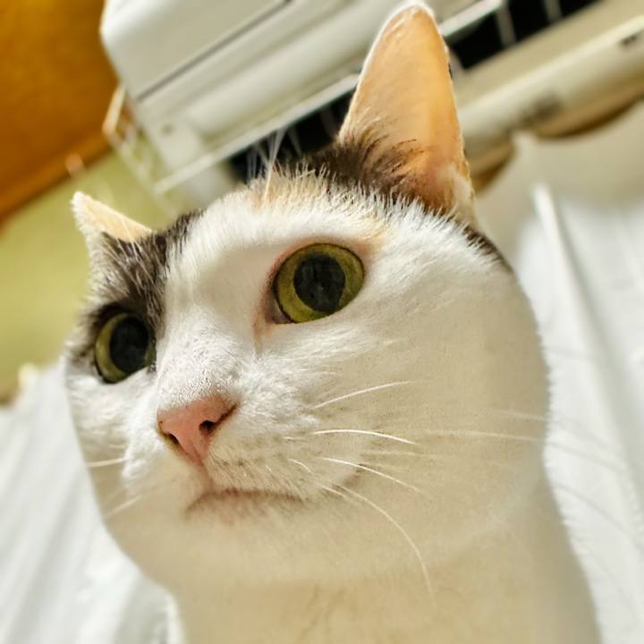 5cd33cc0 0da2 4bba 99fb 6de5bbf905cb 1678758781525