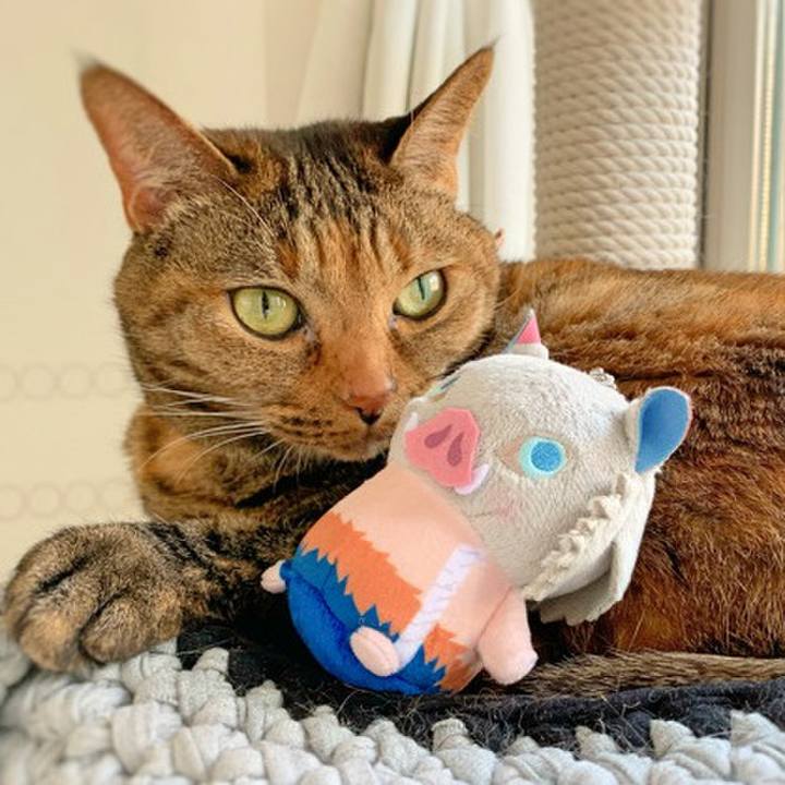 5cd3883b a9b5 4ea3 8909 5e362bc07c89 1585884787570