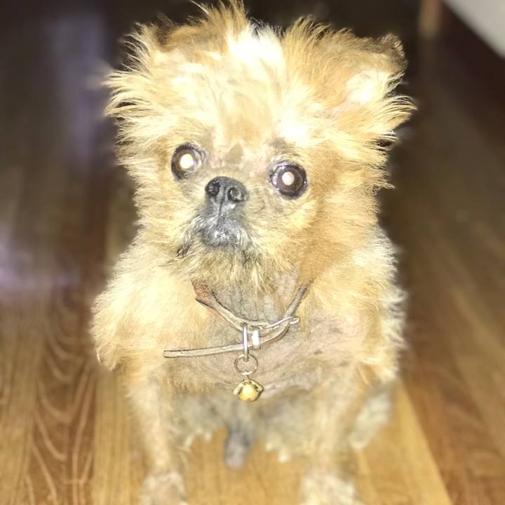 5cd3b33f 0080 4357 a564 9348ab961e64 1535490224749