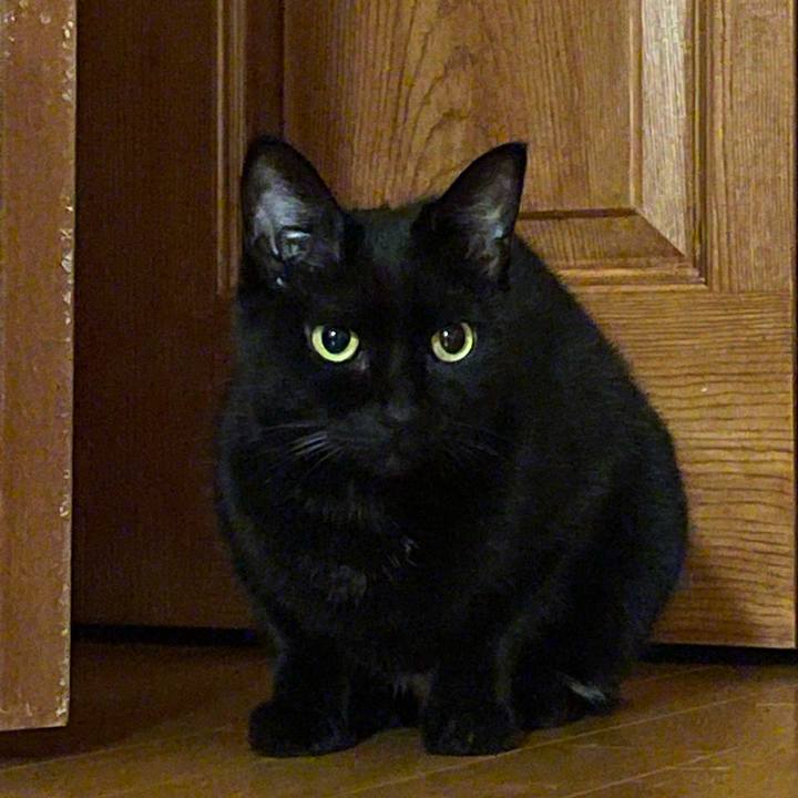 5cd3b9e6 815e 4749 9bfb 03847c04397a 1670757396538