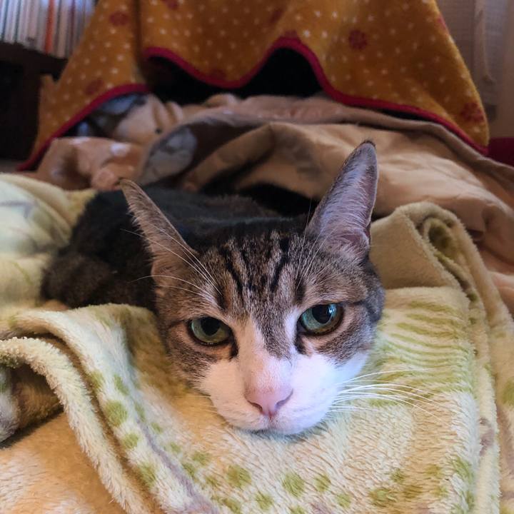 5cd3c915 d9a3 4507 adb6 308178657494 1698892286986