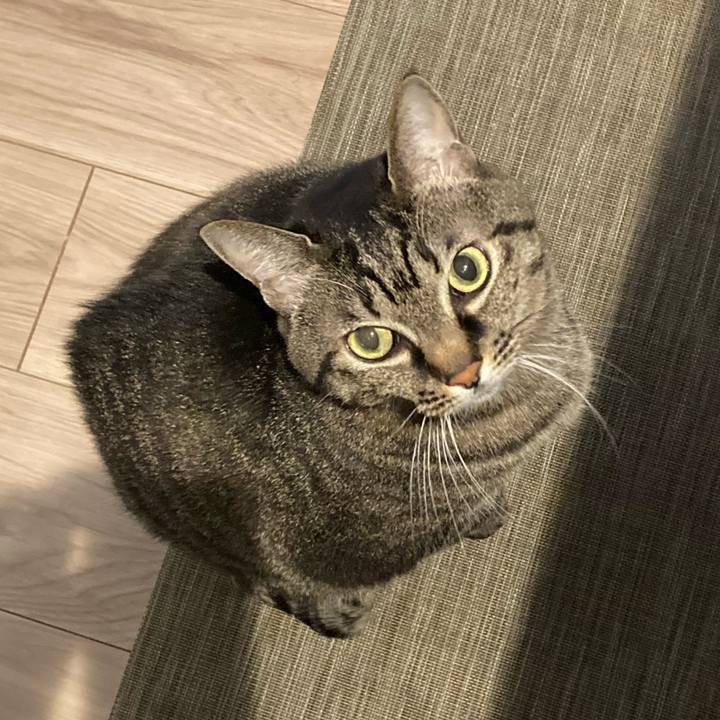 5cd3cad5 87dc 4f11 878e c60755ff6205 1668912860621