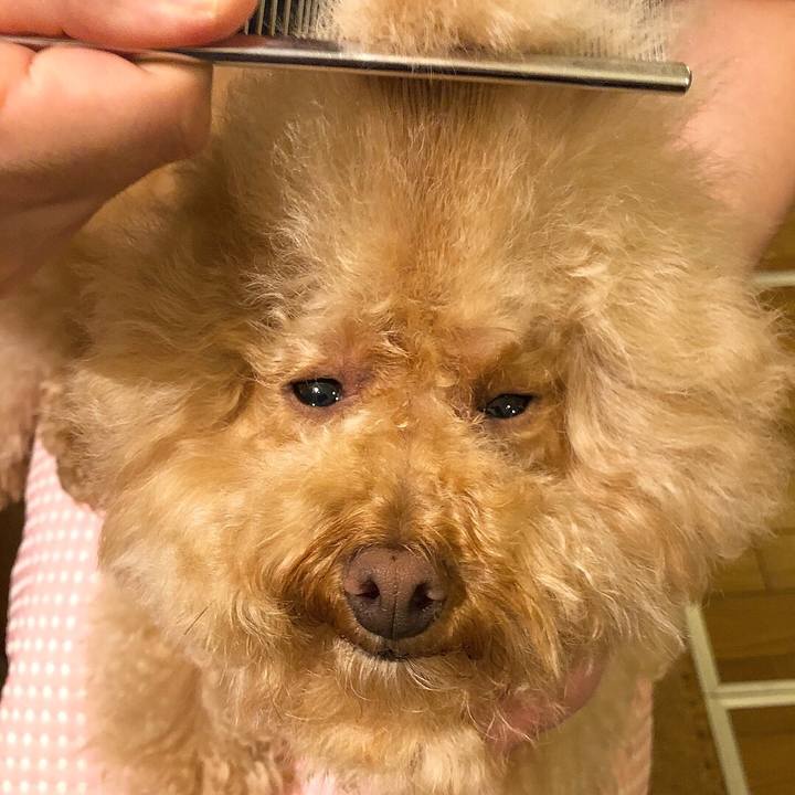 5cd3f6be dcce 447d 867f d28dc381d6ea 1528633074499