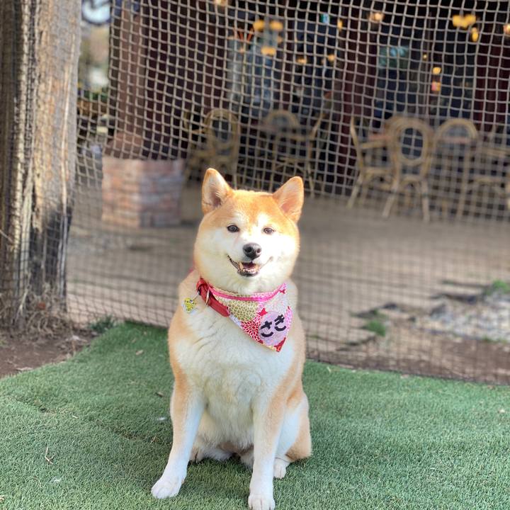 5cd41415 9d38 4b43 b72c 779f5af6426b 1582446398525