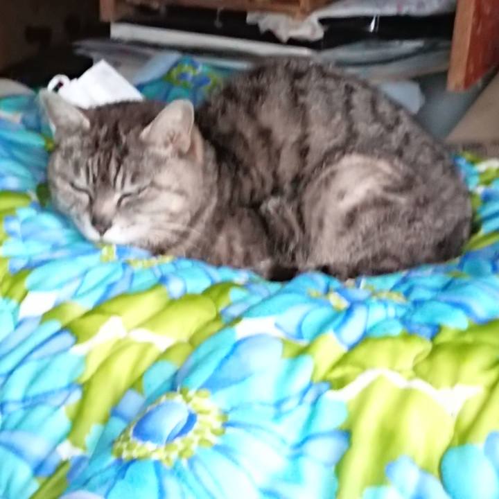 5cd43b4f 5684 4a86 9d98 2f028027d94a 1560764796837