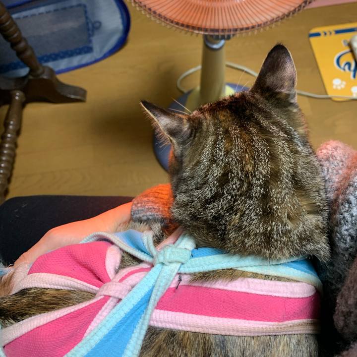 5cd45ec5 7eb8 4cf4 b58c d2773e63ae4d 1610437022631