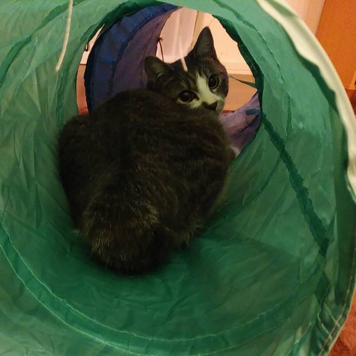 5cd479e4 c034 4abe 9c53 4369fb997904 1576420363551