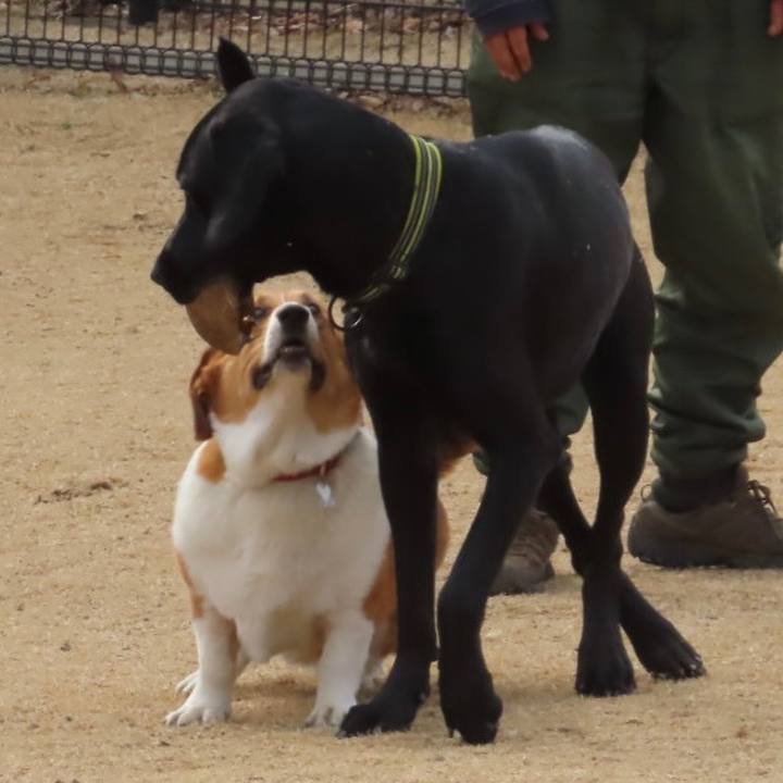 5cd4a4cc 1b61 449d 92ae 871c5af2417e 1676865776633