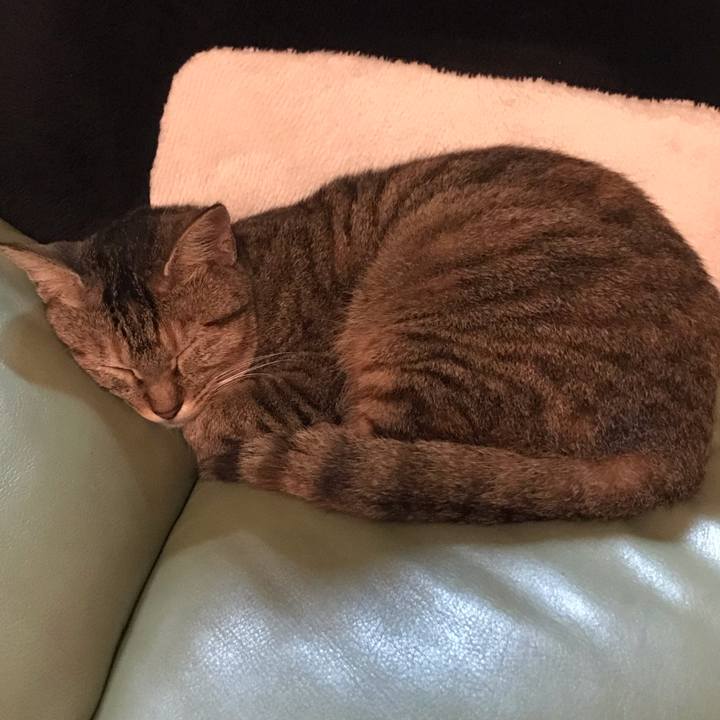 5cd4c180 218d 4e7f 932d 40892c95048b 1572427452090