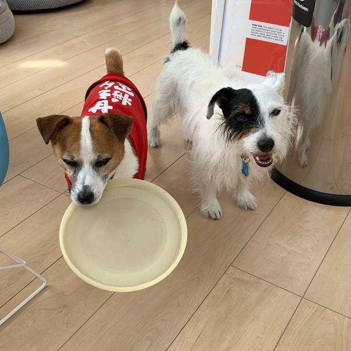 5cd4cc9b 06d1 44a7 8263 b4953f8ce4ed 1629424051777