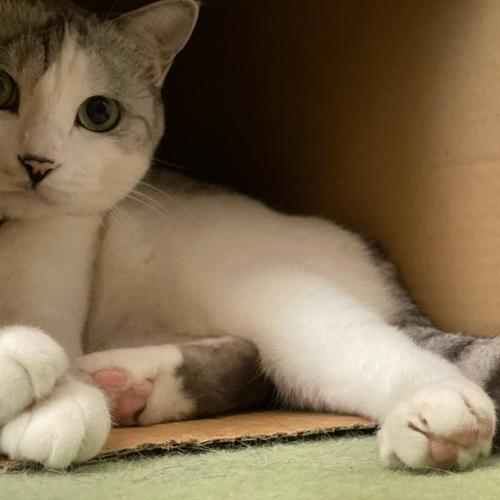 5cd4ef72 4177 4272 b084 c37a78f3eab9 1599618497248