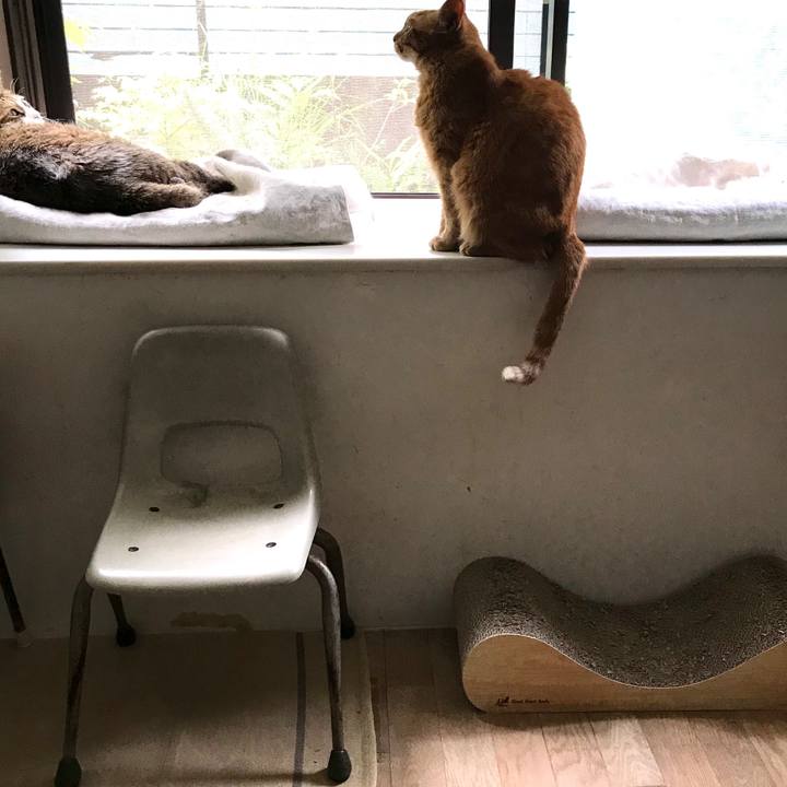 5cd4f9a3 9243 422d a84c 2a2886455226 1594108739001