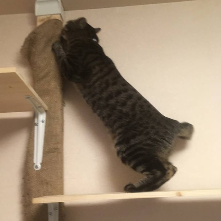 5cd4fe28 8cee 4e92 8cd8 9b8755dd6bd9 1545445543294