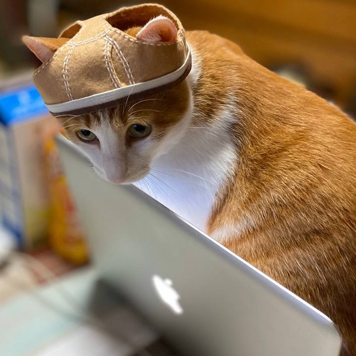 5cd527de 2928 433b 8c3f 64ae4793bbbc 1570187419480