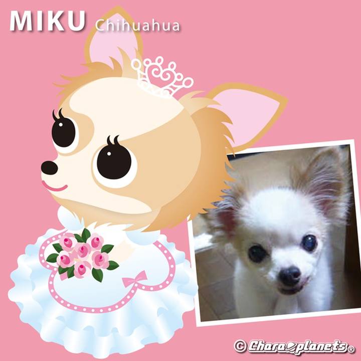 5cd53b1d 955f 42e7 9f44 90c214ccf4ae 1568721584260