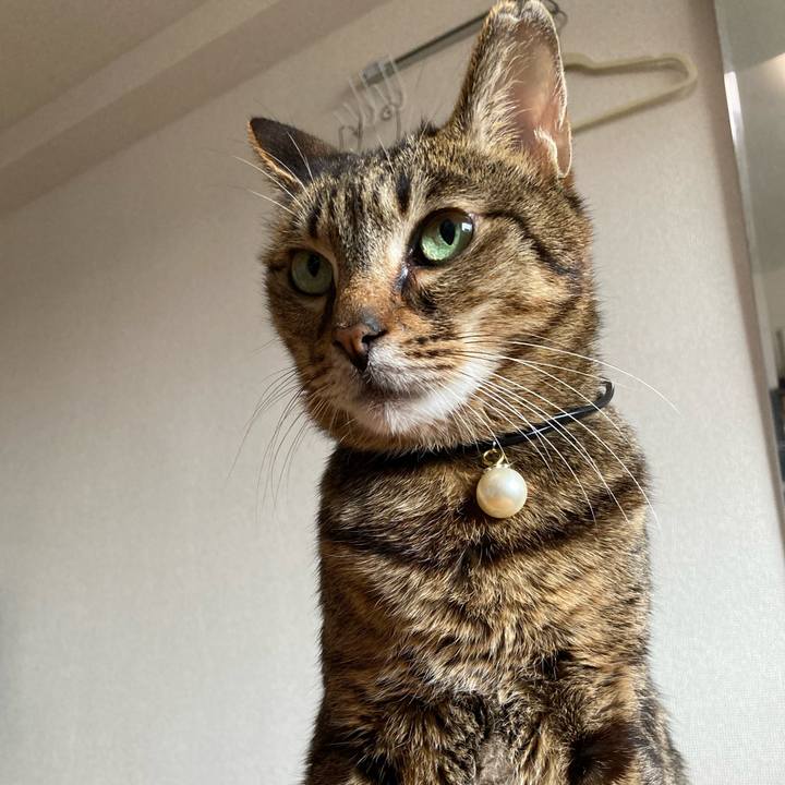 5cd5714d 0f45 49e6 9097 0bec0967bd67 1709675365194