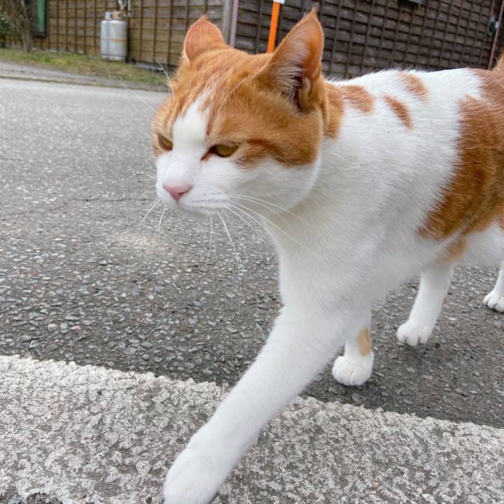 5cd586e9 5a76 4cd0 84f9 15f7605b942a 1615518829556