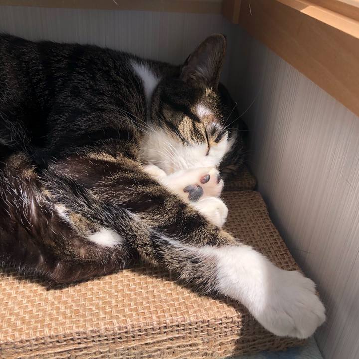 5cd5c331 2e19 458d 9f92 52b5cc92727a 1621065413779