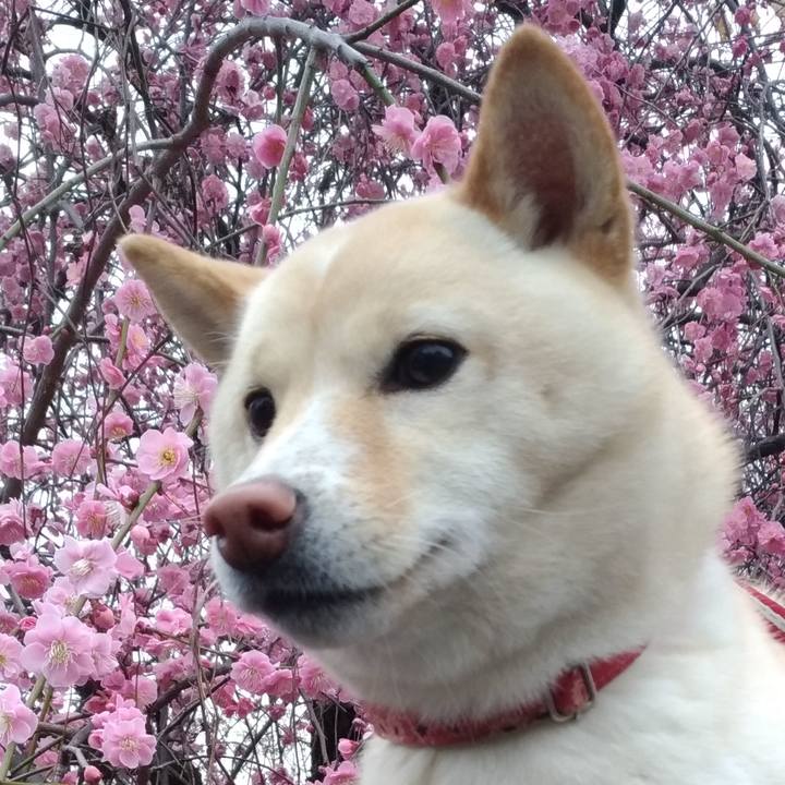 5cd5ea6d 16e6 4b58 969a 018ef7c2c020 1551568921720