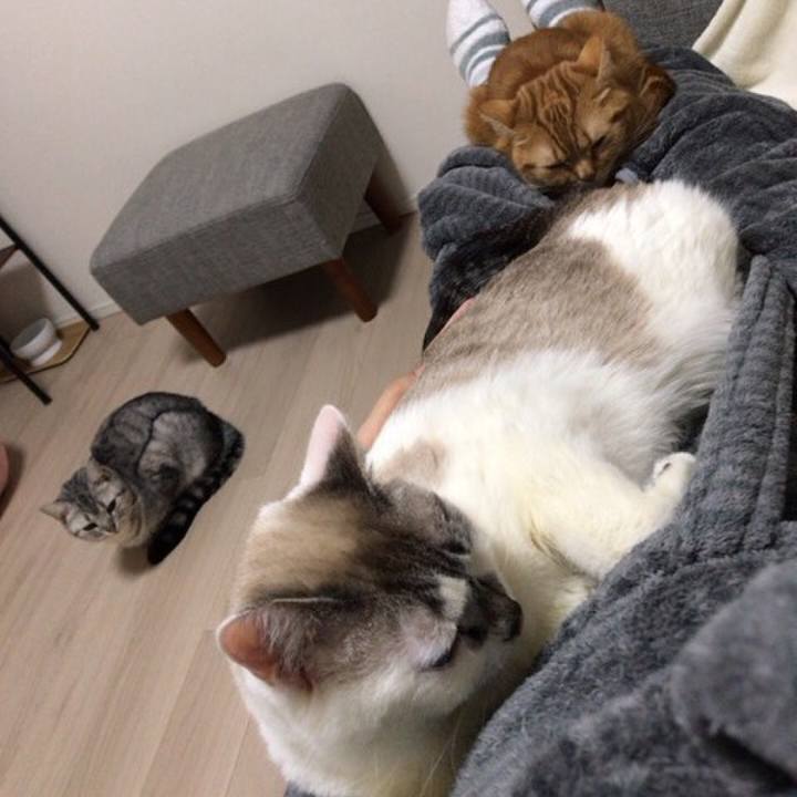 5cd5fe41 5a1e 466e a18d 411d473e7aea 1548800288351