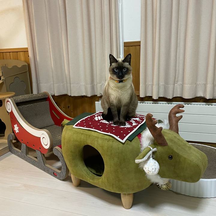 5cd604ac 6caf 4e18 b0e6 e7797215ed7f 1764104208834