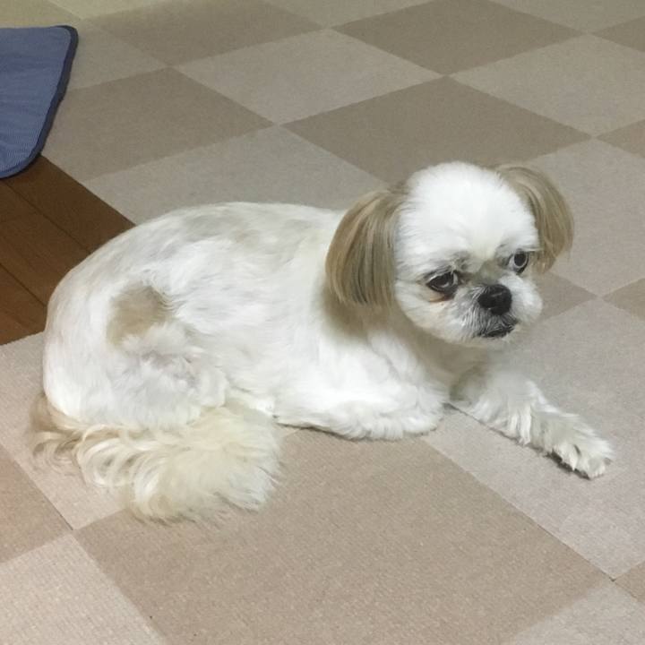 5cd60861 c919 479b b8f9 1f281eb7c330 1528370977427