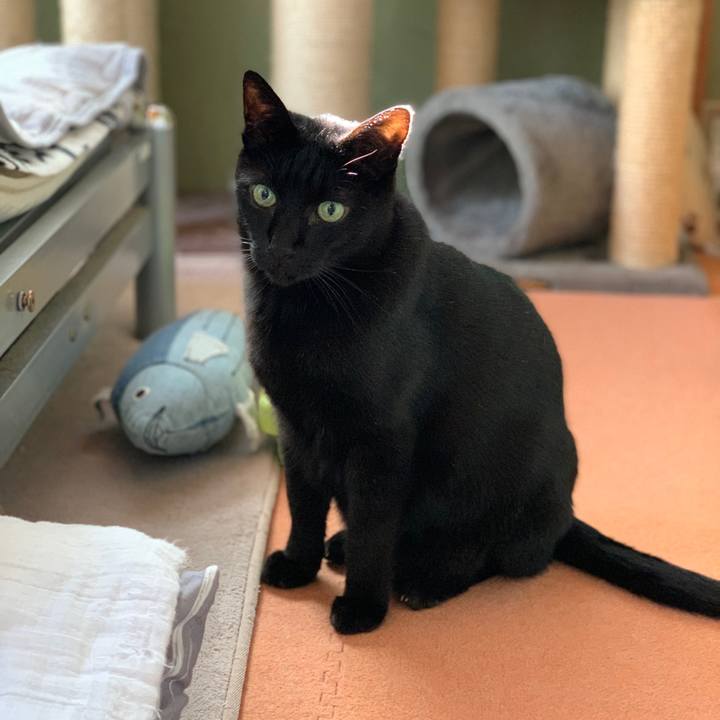 5cd63672 4e09 4e2d be60 781ee8860c39 1574754300094