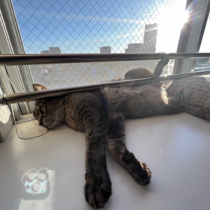 5cd66206 4487 4a21 8dc3 07f41f239dbc 1634228161199