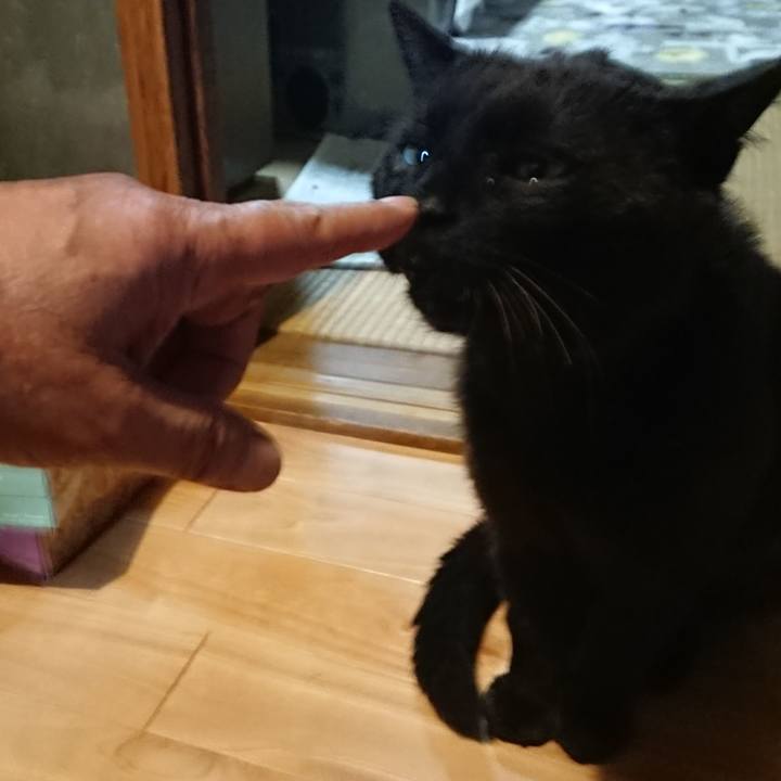 5cd69342 e0b8 48e9 95e2 af9bc301580e 1623062509071