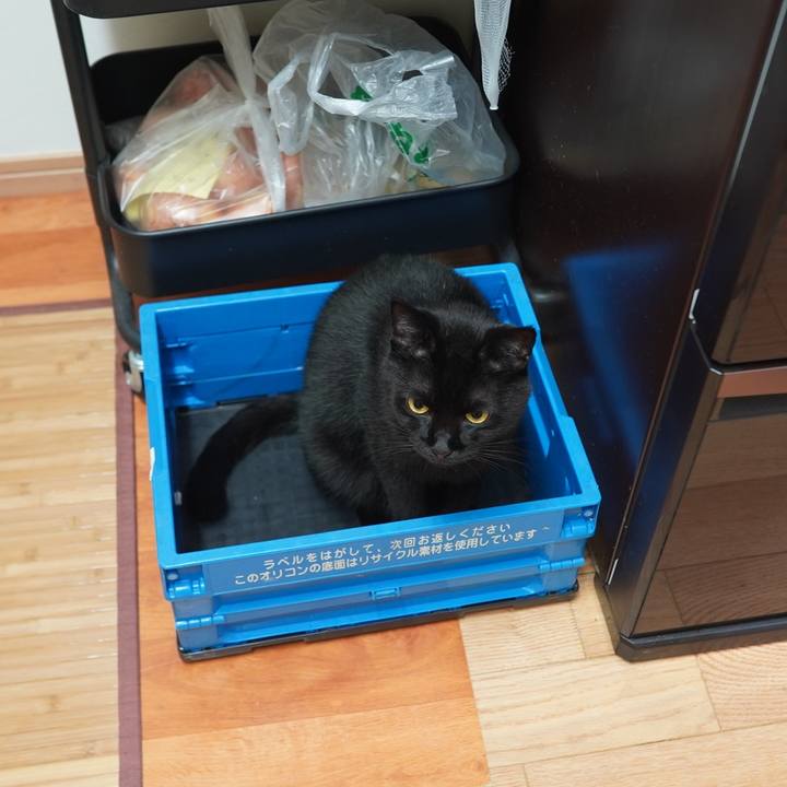 5cd6c744 e06e 4721 af7a b72a958a3e18 1599488029263