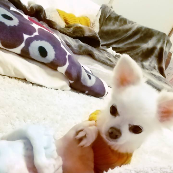 5cd6cde8 b439 4b41 9d2d 6b184da29448 1608286076143