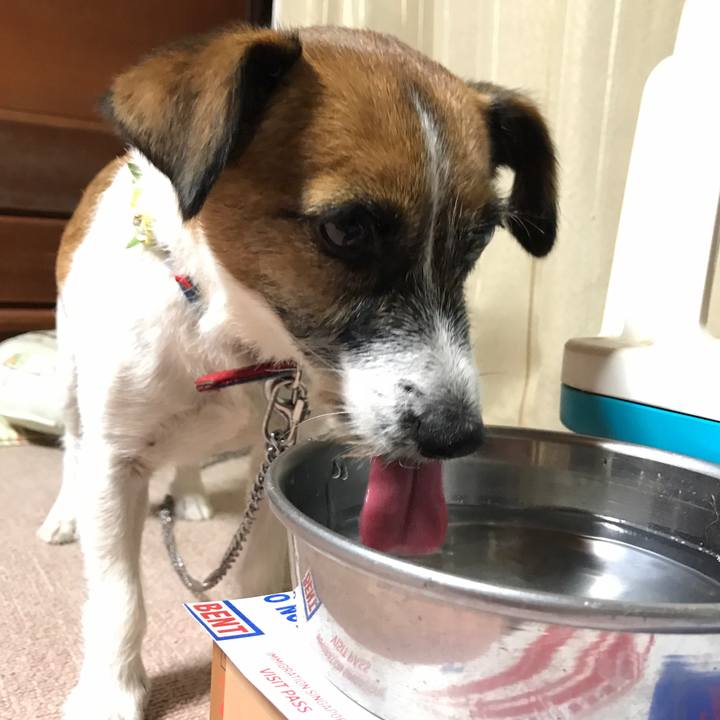 5cd6d08c 0cfe 446b b43c f1b067a45dfa 1507802583629