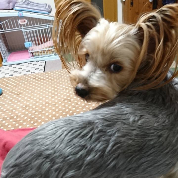 5cd6d595 4ec7 436e b370 491038999ee2 1543647259713