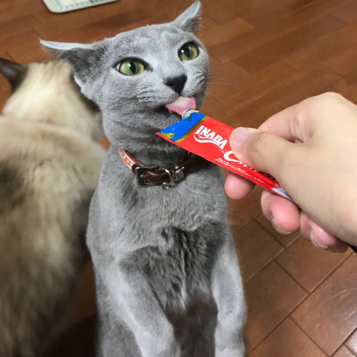 5cd725a2 aad7 4313 8f54 bc037685e64d 1537312207808