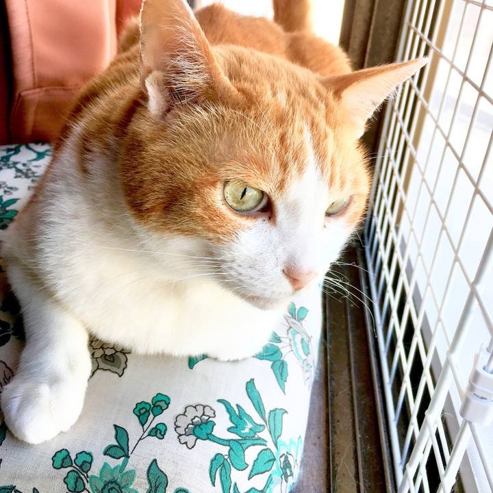 5cd74aa4 e40c 4c70 8cc0 3aa738dd1f34 1561777847862