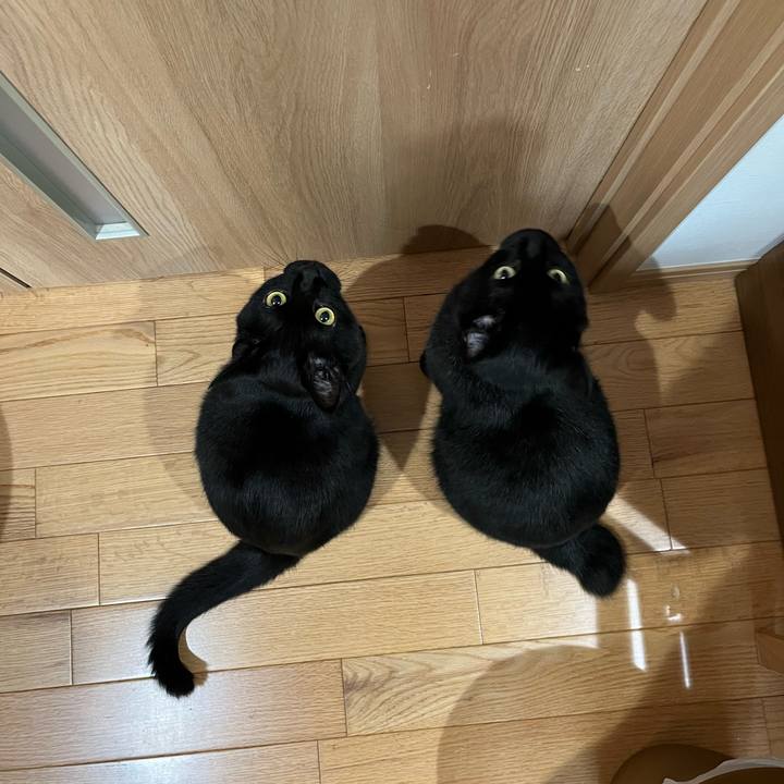 5cd7a040 c355 4c29 b7e7 8d8c3bbadb90 1658886518572