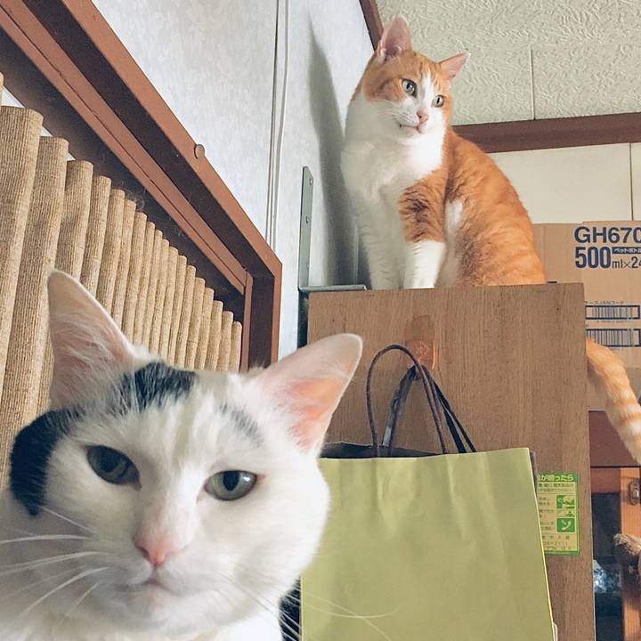 5cd7a07d 501b 4be3 8a60 91c9b9cd1159 1591770462967