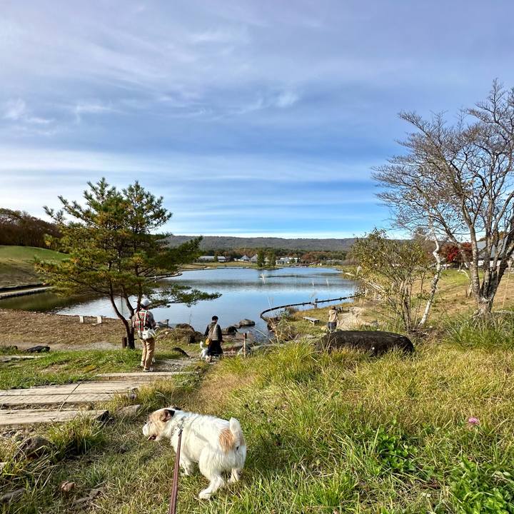 5cd7a160 625d 4ce1 a333 8aec598903b8 1730694732821