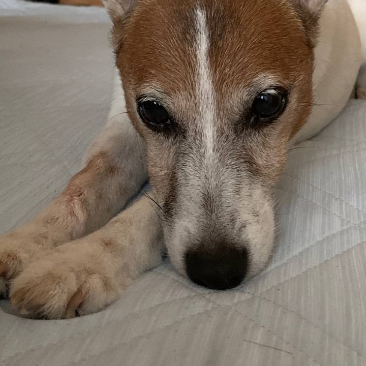 5cd7a304 ed53 4d98 bbbf 71bcb0904c2c 1595112993447