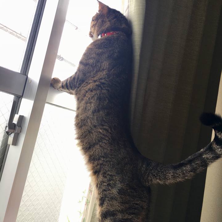 5cd7f49c 44b4 4088 9e9f 58225b1194b4 1569112524190