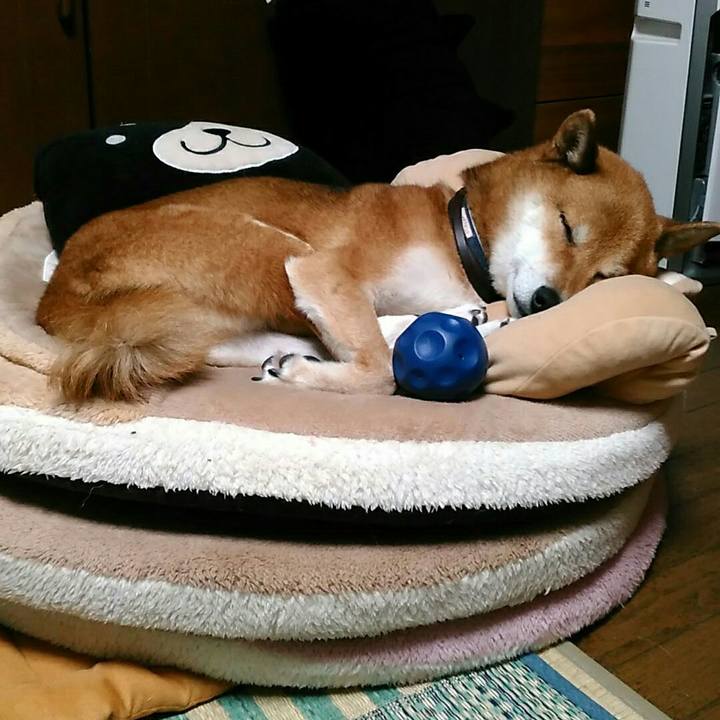 5cd81448 0f16 4dbf aae9 49428617d9fe 1572184969690