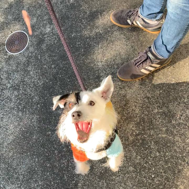 5cd81d71 4533 4182 bf44 bbcd3b524314 1737506993610