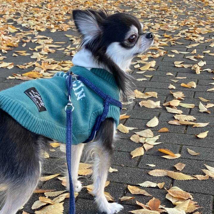 5cd867e9 0f90 46fa 8a6e 47719f5b6a84 1668869035674