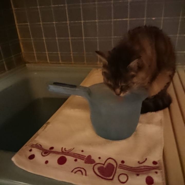 5cd88c9a afde 4ecf 90b5 7fe5806117a7 1570613140167