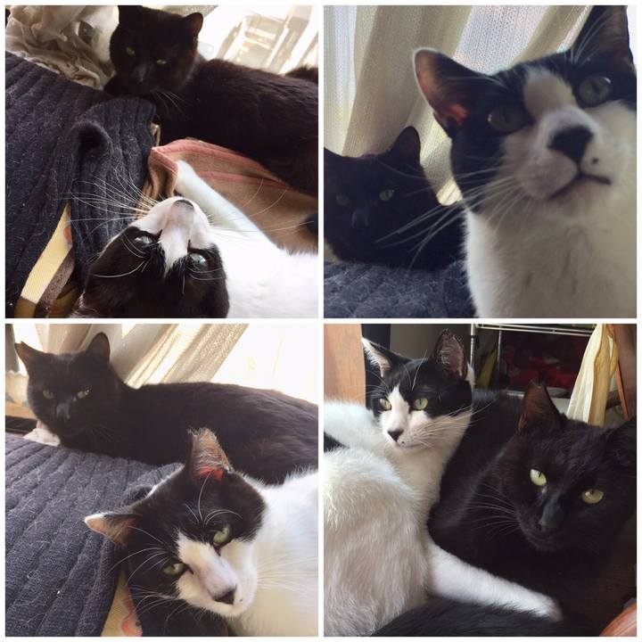 5cd8ad42 3f7d 4dac bd75 dced418998ea 1586588648157