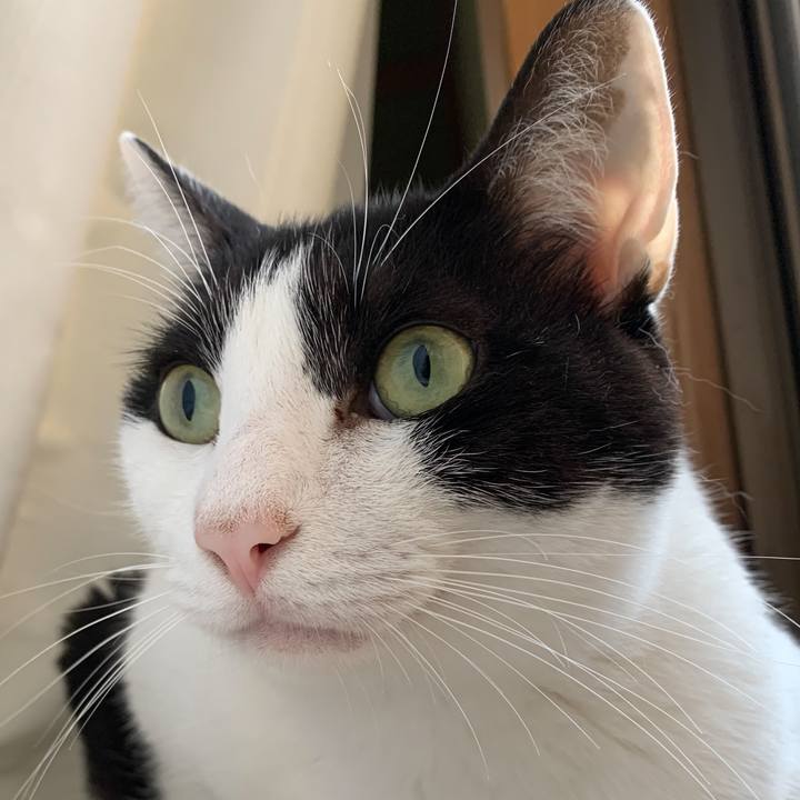 5cd91f7c 658d 4fff ac51 1731c7b0ef45 1571100418160