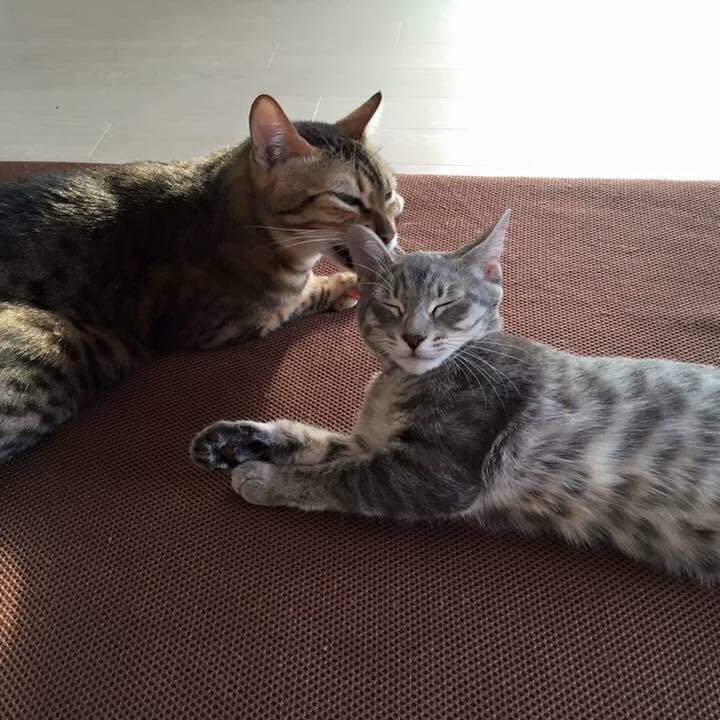 5cd91fb7 8a00 47c8 b70d 6eae4f5506fd 1528096329053