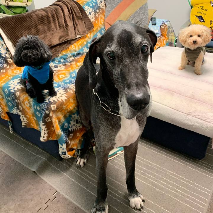 5cd943df 65fa 49f9 bbcf efa2c99529bf 1605135319769