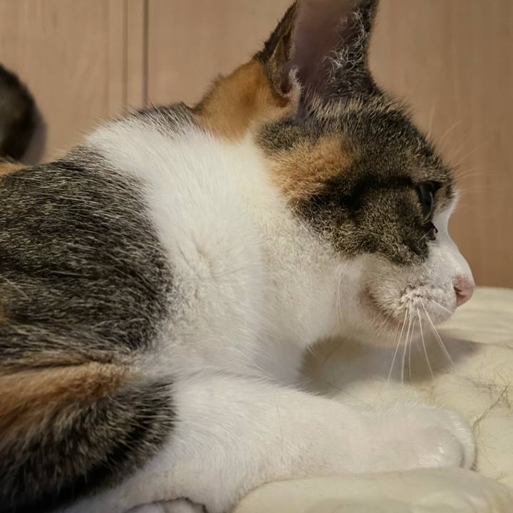 5cd948e9 ff08 4a7a b5ca 49bda7851547 1625947904541