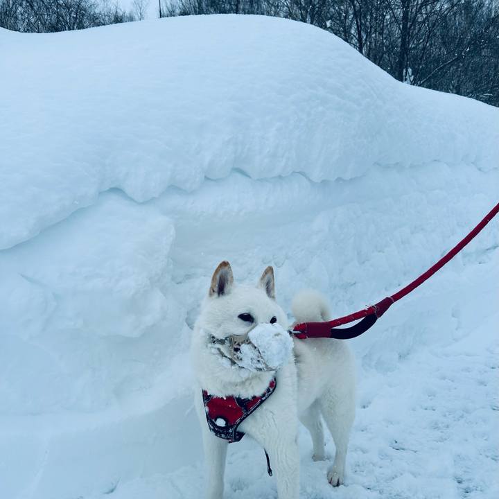 5cd953a4 1277 4ee2 868c f6fea793577e 1704765222662